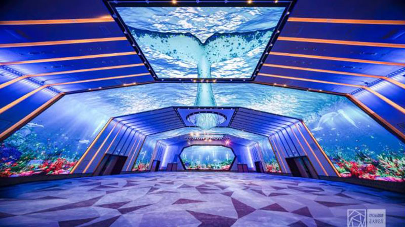 J9集团|国际站官网